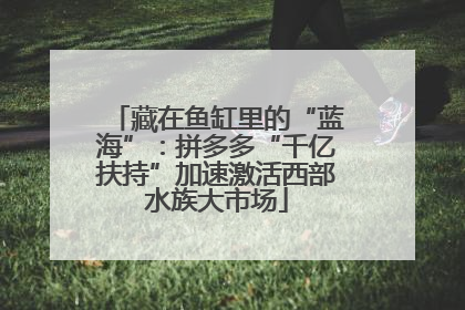 藏在鱼缸里的“蓝海”：拼多多“千亿扶持”加速激活西部水族大市场